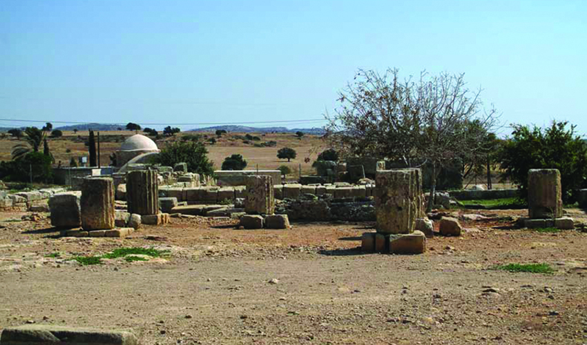 22 mnimeia manteia
